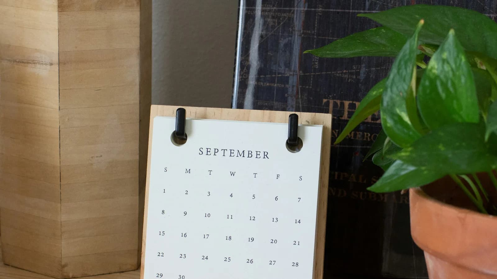 Calendario de escritorio junto a una planta pequeña sobre una superficie de madera.